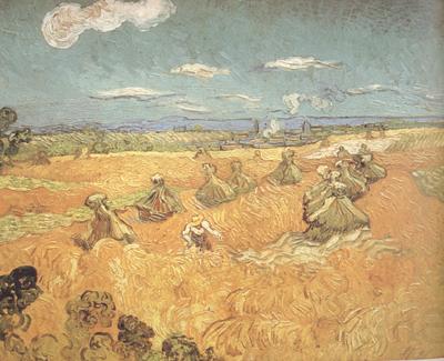 Vincent Van Gogh Wheat Stacks wtih Reaper (nn04) France oil painting art